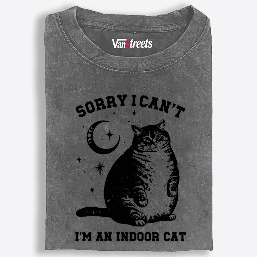 Chonky Indoor Cat Retro Washed T-Shirt | 100% Cotton | Streetwear Essential