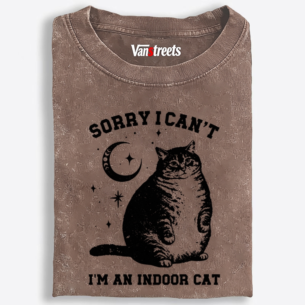 Chonky Indoor Cat Retro Washed T-Shirt | 100% Cotton | Streetwear Essential