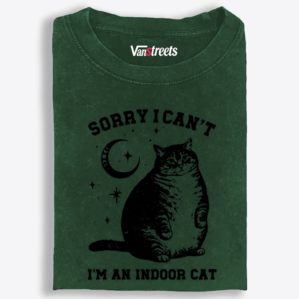 Chonky Indoor Cat Retro Washed T-Shirt | 100% Cotton | Streetwear Essential