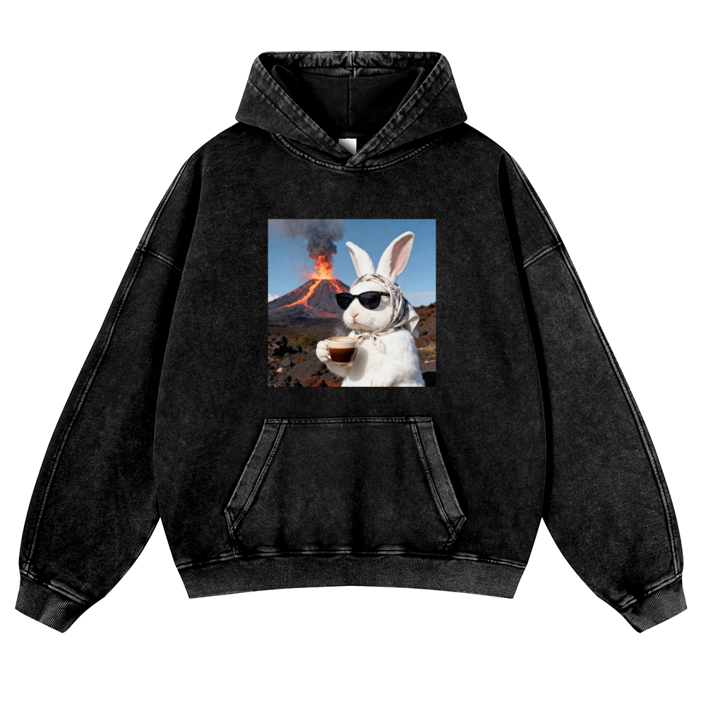 Volcano Coffee Bunny Retro Washed Hoodie