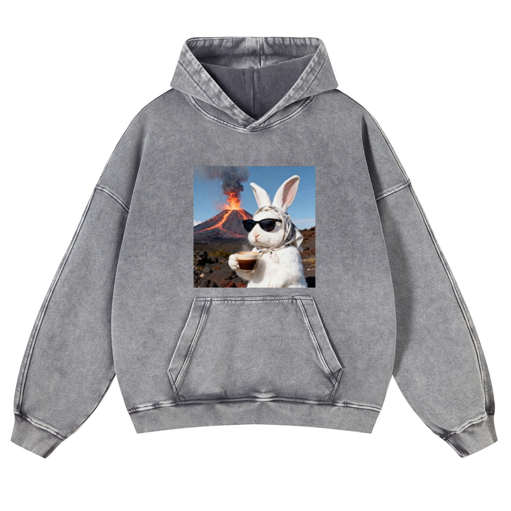 Volcano Coffee Bunny Retro Washed Hoodie