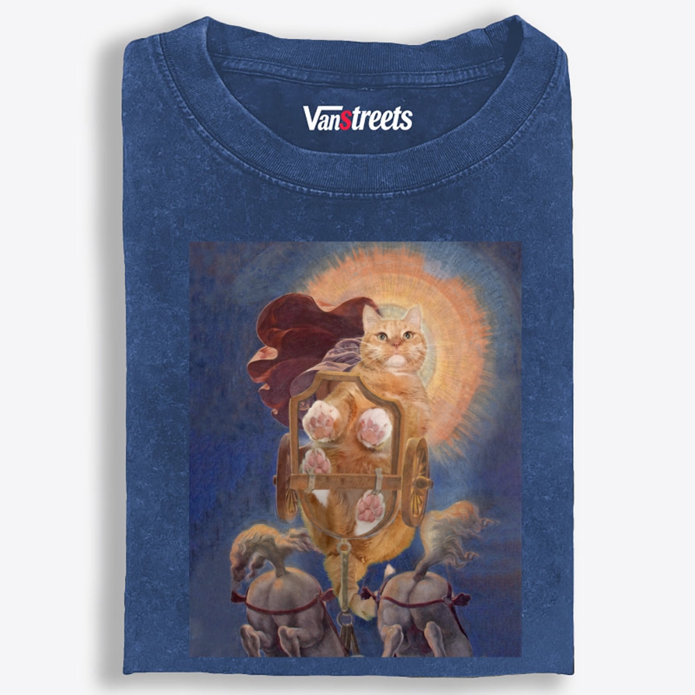 Warrior Orange Cat on Chariot Retro Washed T-Shirt | 100% Cotton | Streetwear Essential
