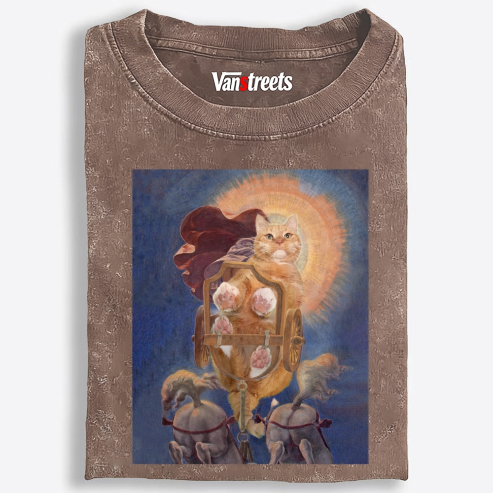 Warrior Orange Cat on Chariot Retro Washed T-Shirt | 100% Cotton | Streetwear Essential