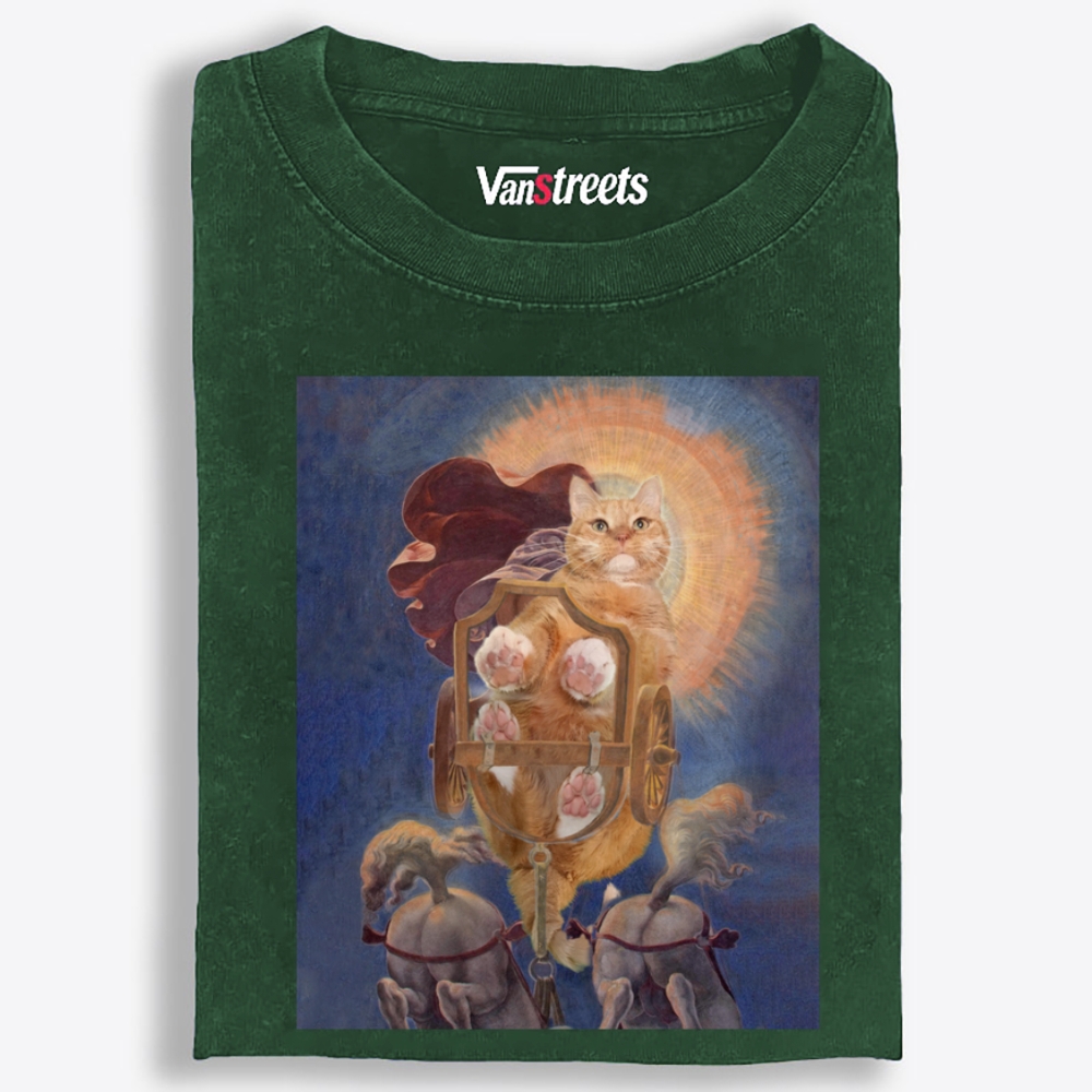 Warrior Orange Cat on Chariot Retro Washed T-Shirt | 100% Cotton | Streetwear Essential
