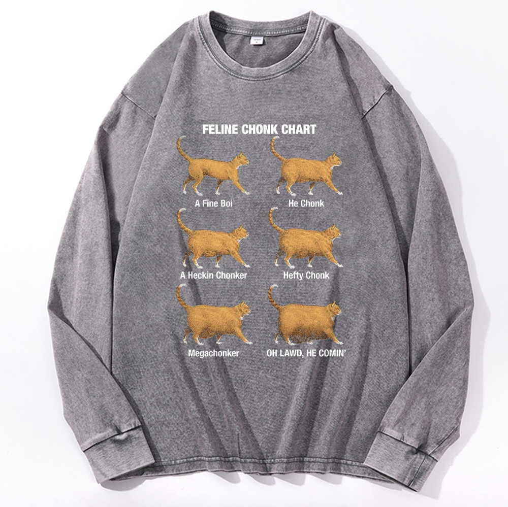 Feline Chonk Chart Cat Retro Washed Long Sleeve T-Shirt