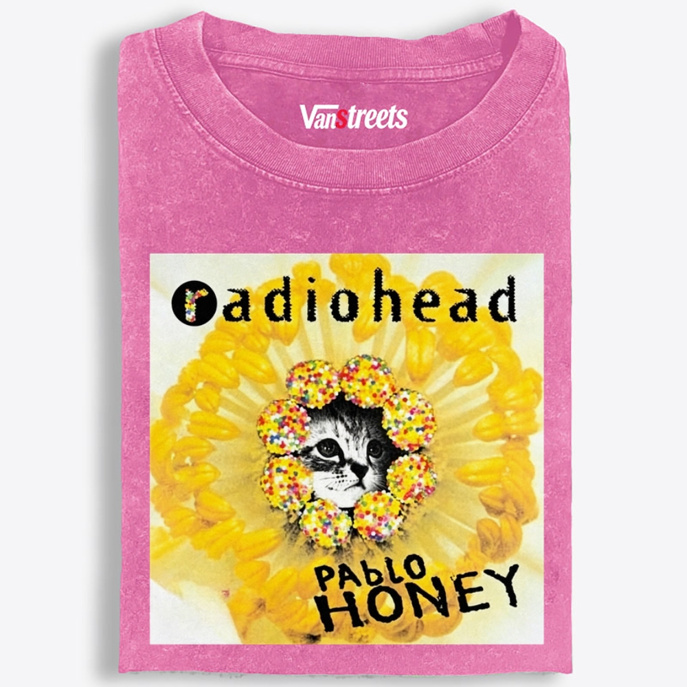 RadioMeow: Pablo Honey Retro Washed T-Shirt | 100% Cotton | Streetwear Essential
