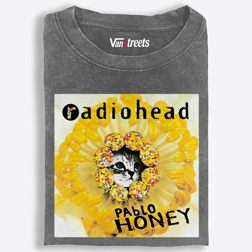 RadioMeow: Pablo Honey Retro Washed T-Shirt | 100% Cotton | Streetwear Essential