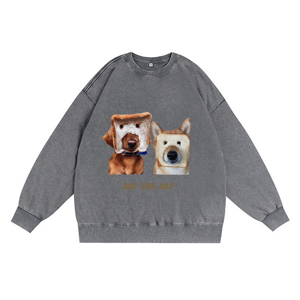 Are You OK? Bread Dogs Vintage Premium Washed Cotton Crewneck Sweatshirt