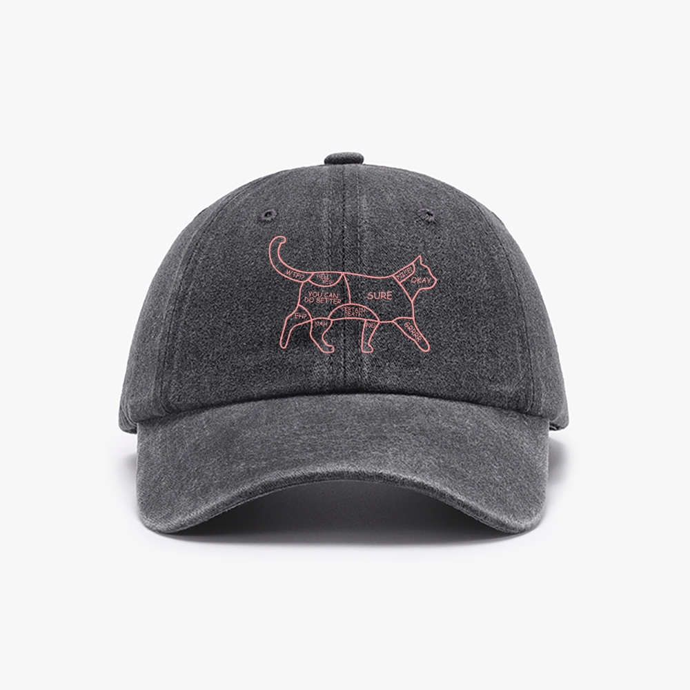 Cat Petting Zone Map Retro Washed Baseball Cap