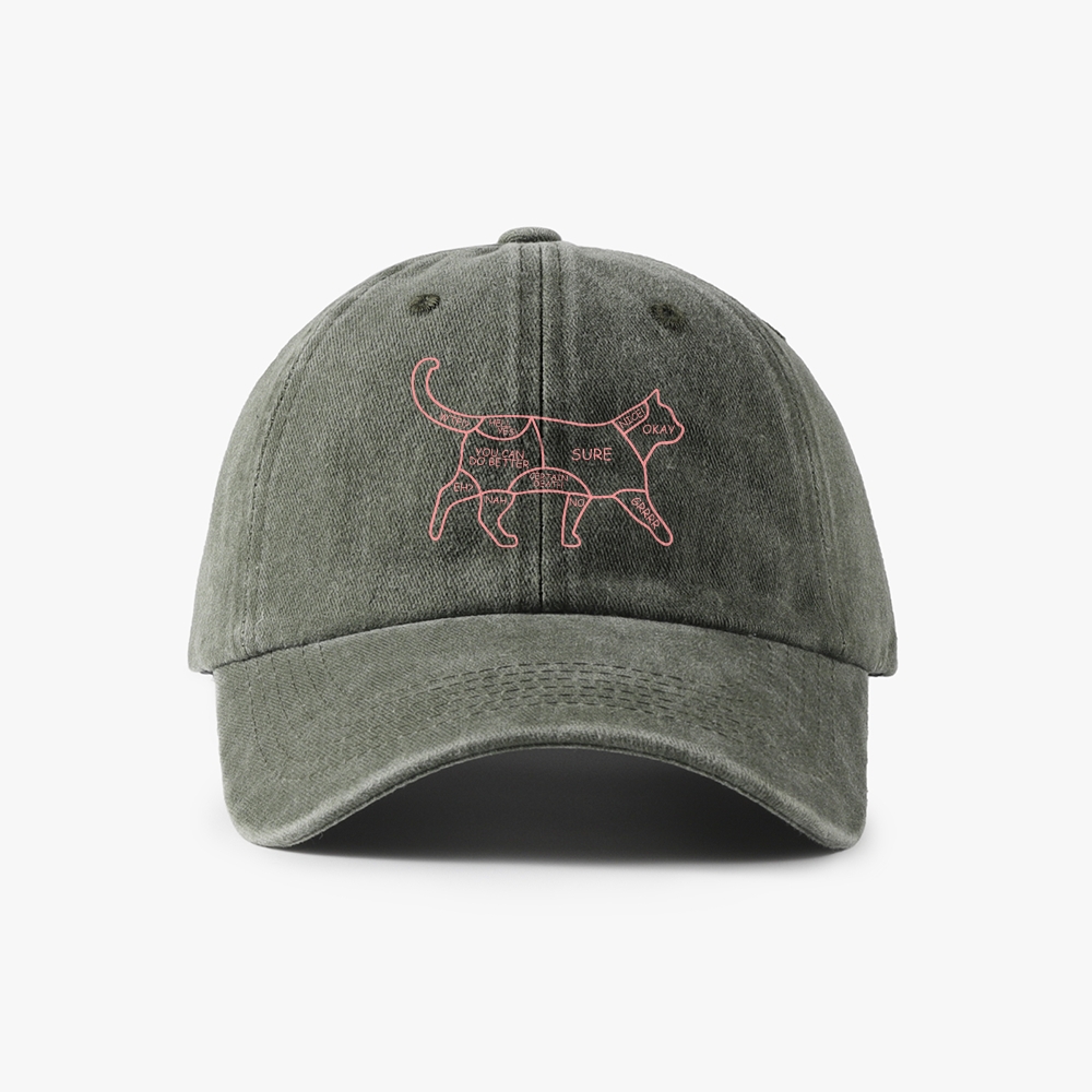 Cat Petting Zone Map Retro Washed Baseball Cap