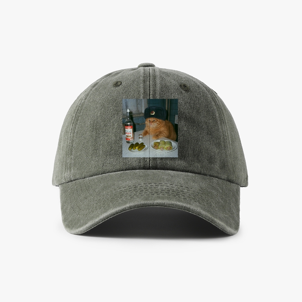 Russian Vodka Cat Retro Washed Baseball Cap
