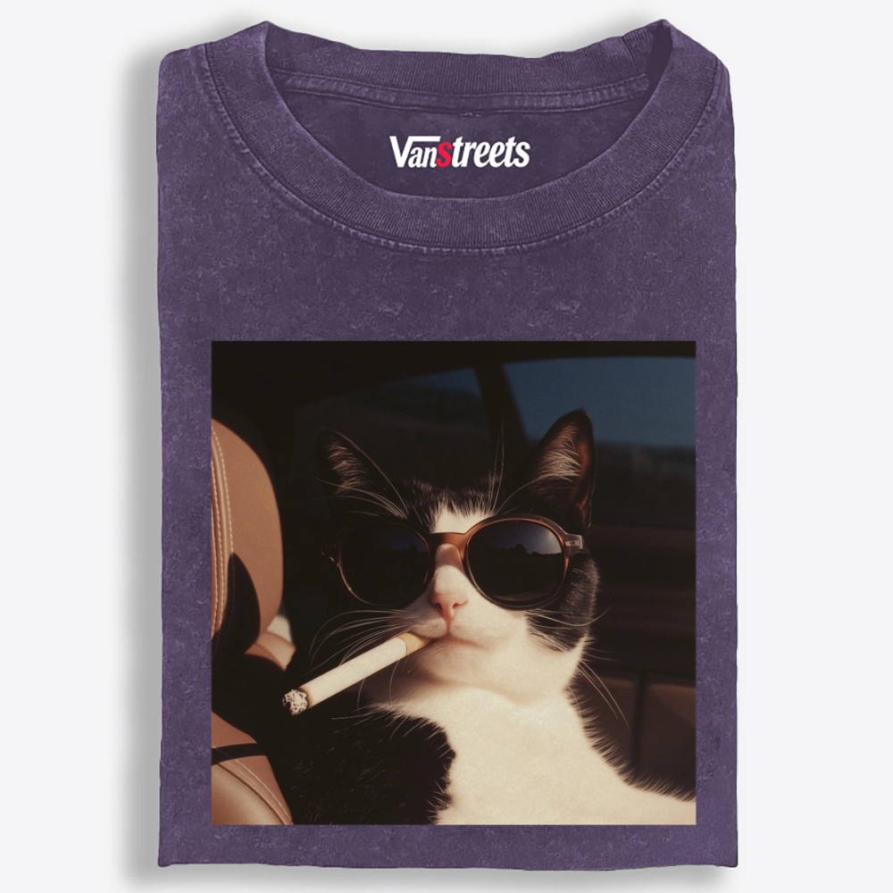 No Explanation, Just Cool Retro Washed T-Shirt | 100% Cotton | Streetwear Essential