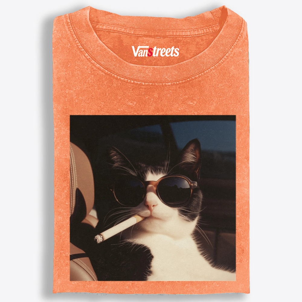 No Explanation, Just Cool Retro Washed T-Shirt | 100% Cotton | Streetwear Essential