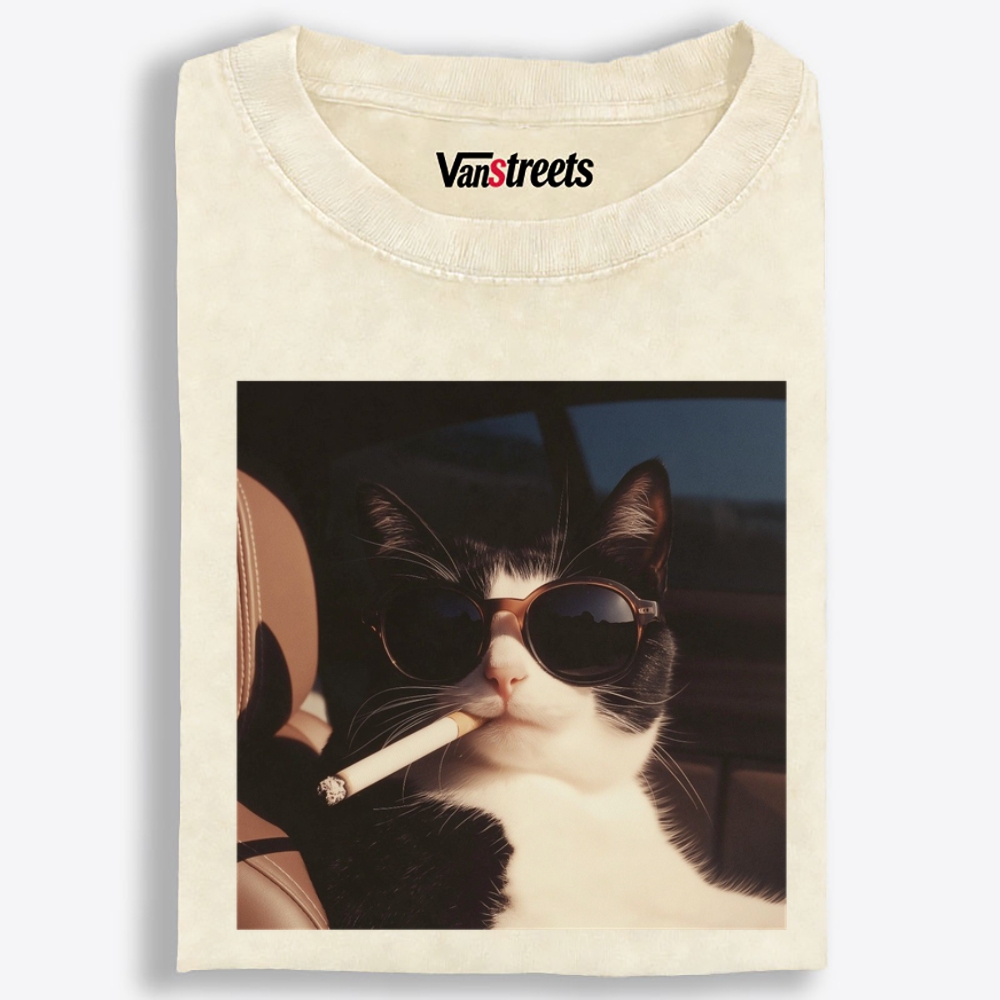 No Explanation, Just Cool Retro Washed T-Shirt | 100% Cotton | Streetwear Essential