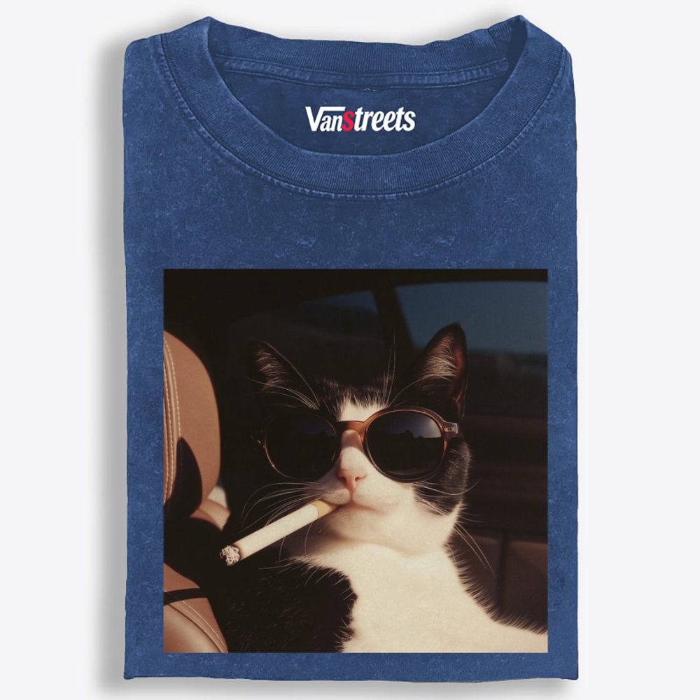 No Explanation, Just Cool Retro Washed T-Shirt | 100% Cotton | Streetwear Essential
