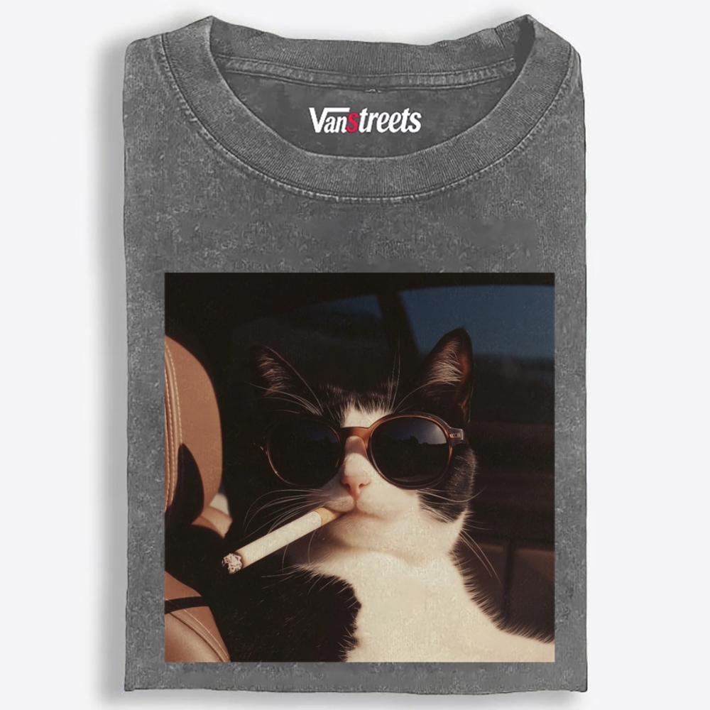 No Explanation, Just Cool Retro Washed T-Shirt | 100% Cotton | Streetwear Essential