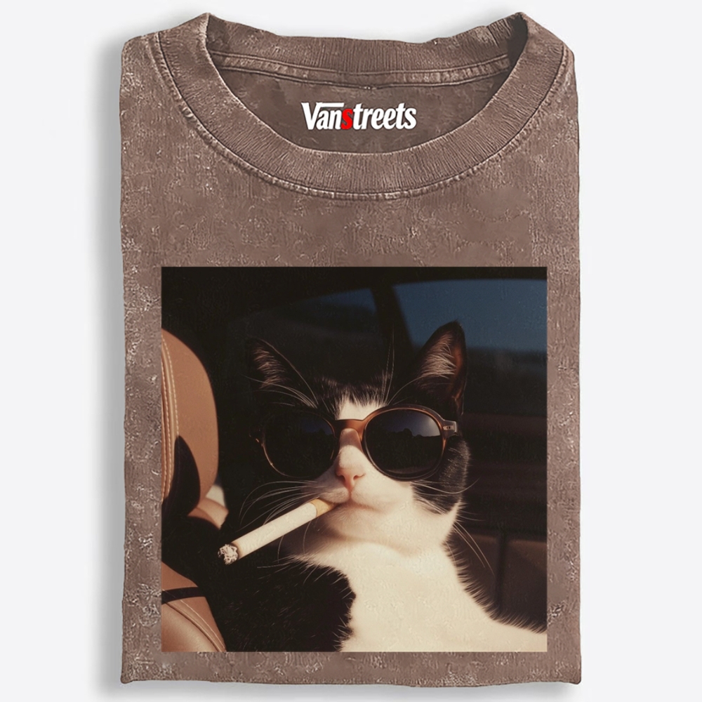 No Explanation, Just Cool Retro Washed T-Shirt | 100% Cotton | Streetwear Essential