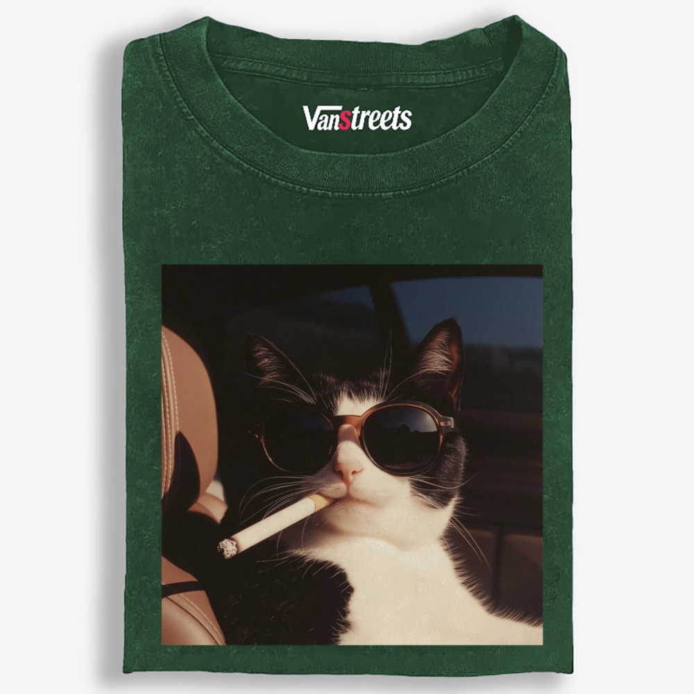 No Explanation, Just Cool Retro Washed T-Shirt | 100% Cotton | Streetwear Essential