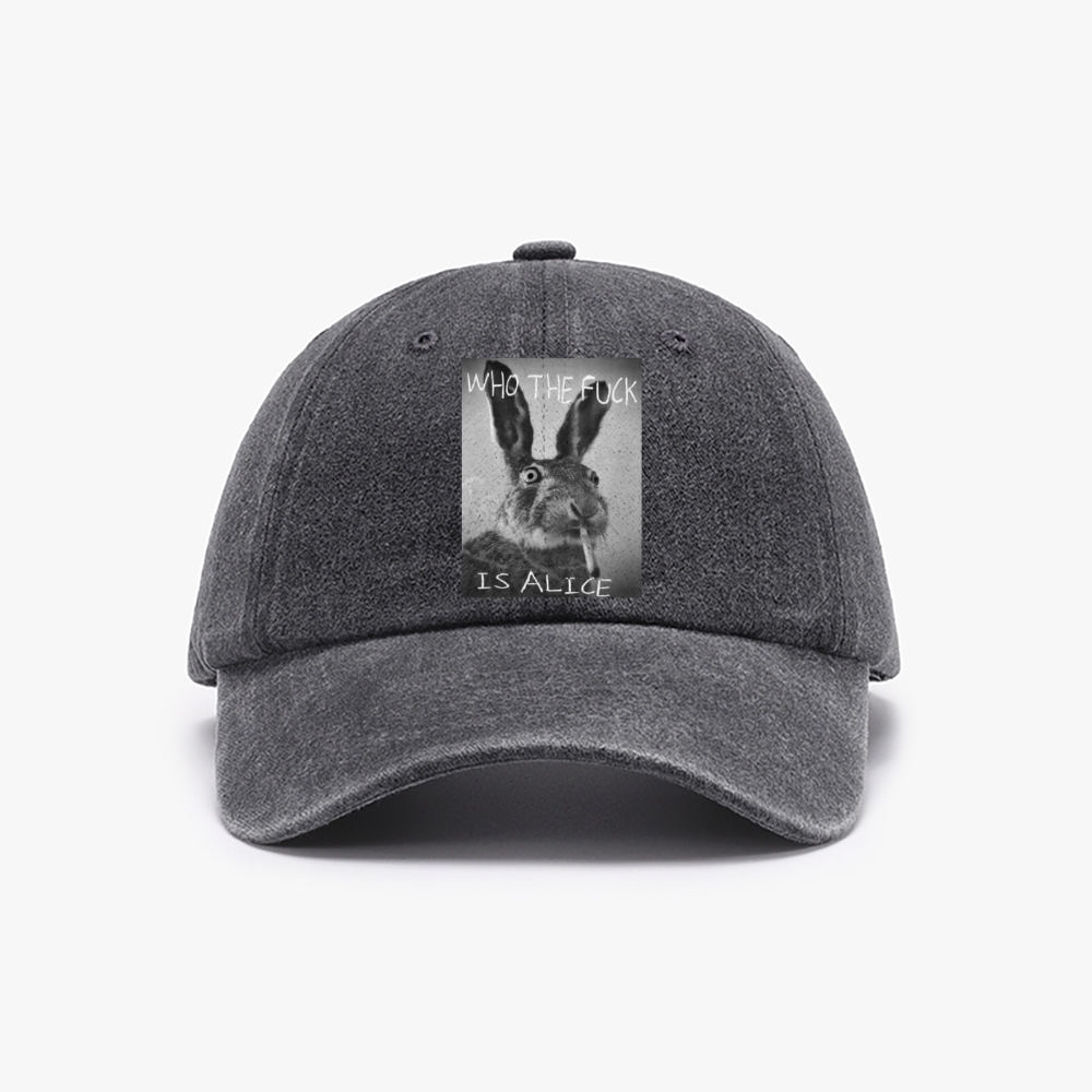 Who The Fuck Is Alice? Retro Washed Baseball Cap