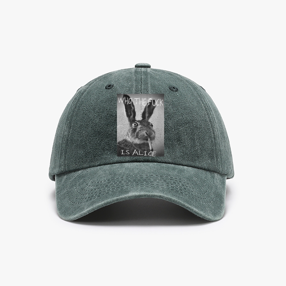 Who The Fuck Is Alice? Retro Washed Baseball Cap