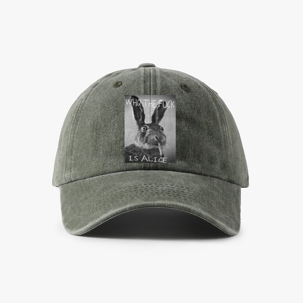 Who The Fuck Is Alice? Retro Washed Baseball Cap