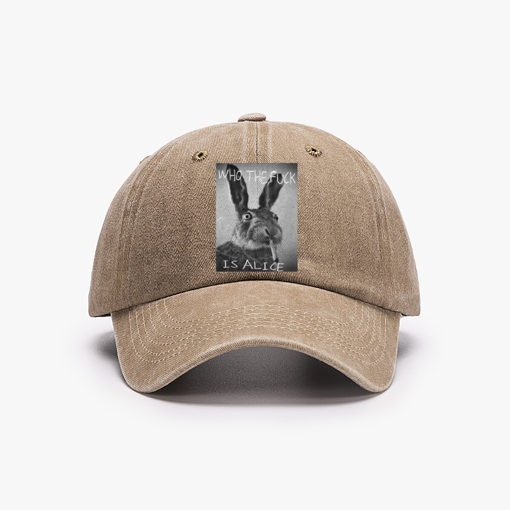 Who The Fuck Is Alice? Retro Washed Baseball Cap