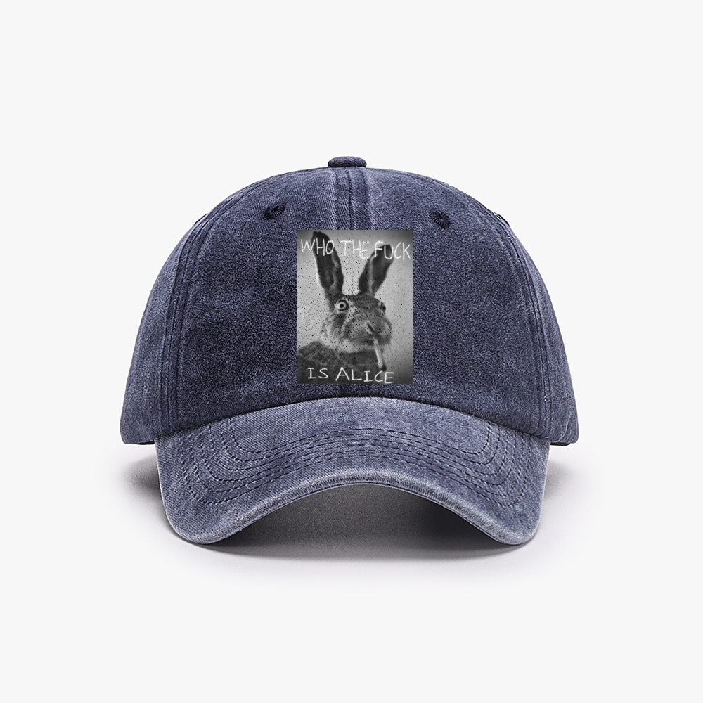 Who The Fuck Is Alice? Retro Washed Baseball Cap