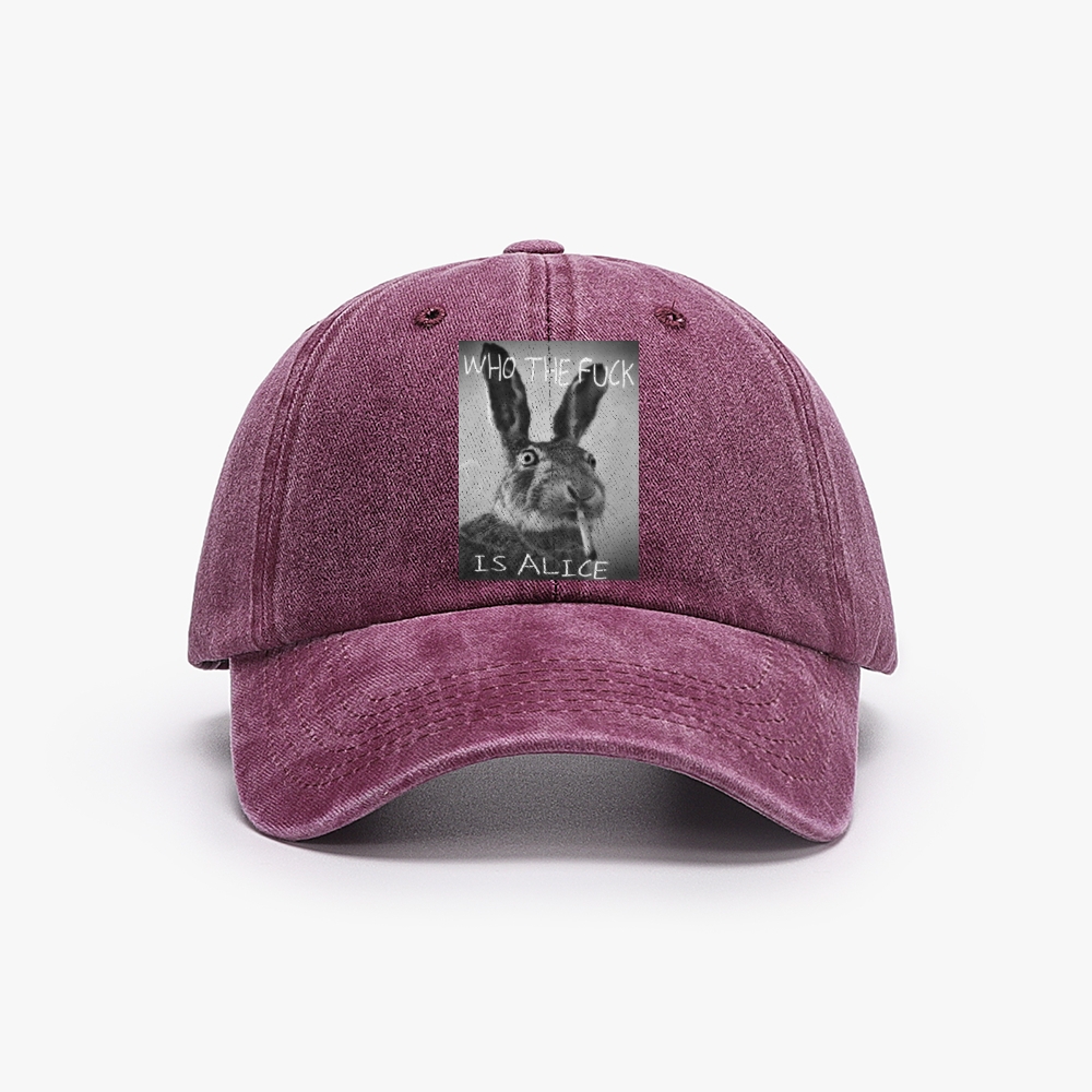 Who The Fuck Is Alice? Retro Washed Baseball Cap