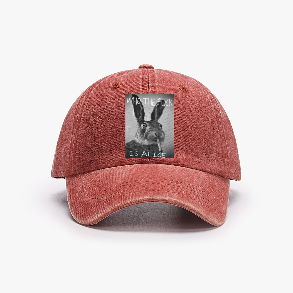 Who The Fuck Is Alice? Retro Washed Baseball Cap