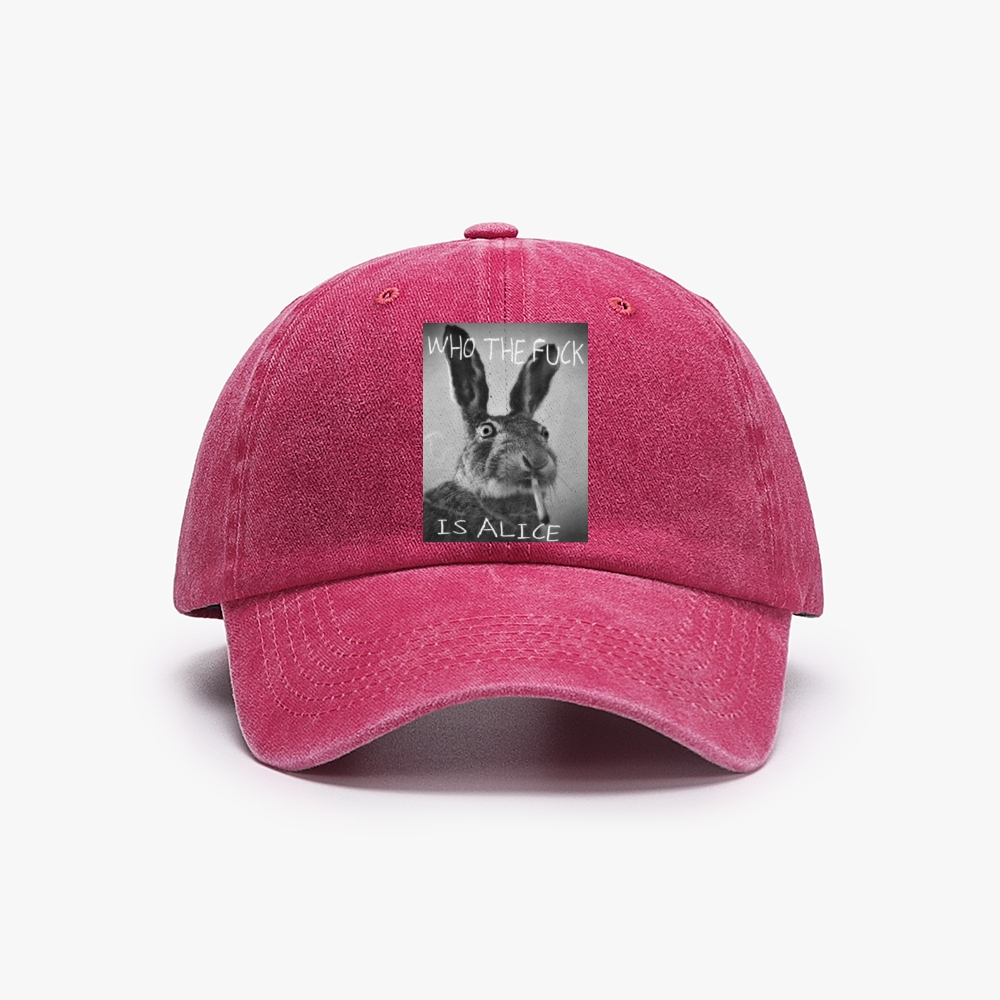 Who The Fuck Is Alice? Retro Washed Baseball Cap