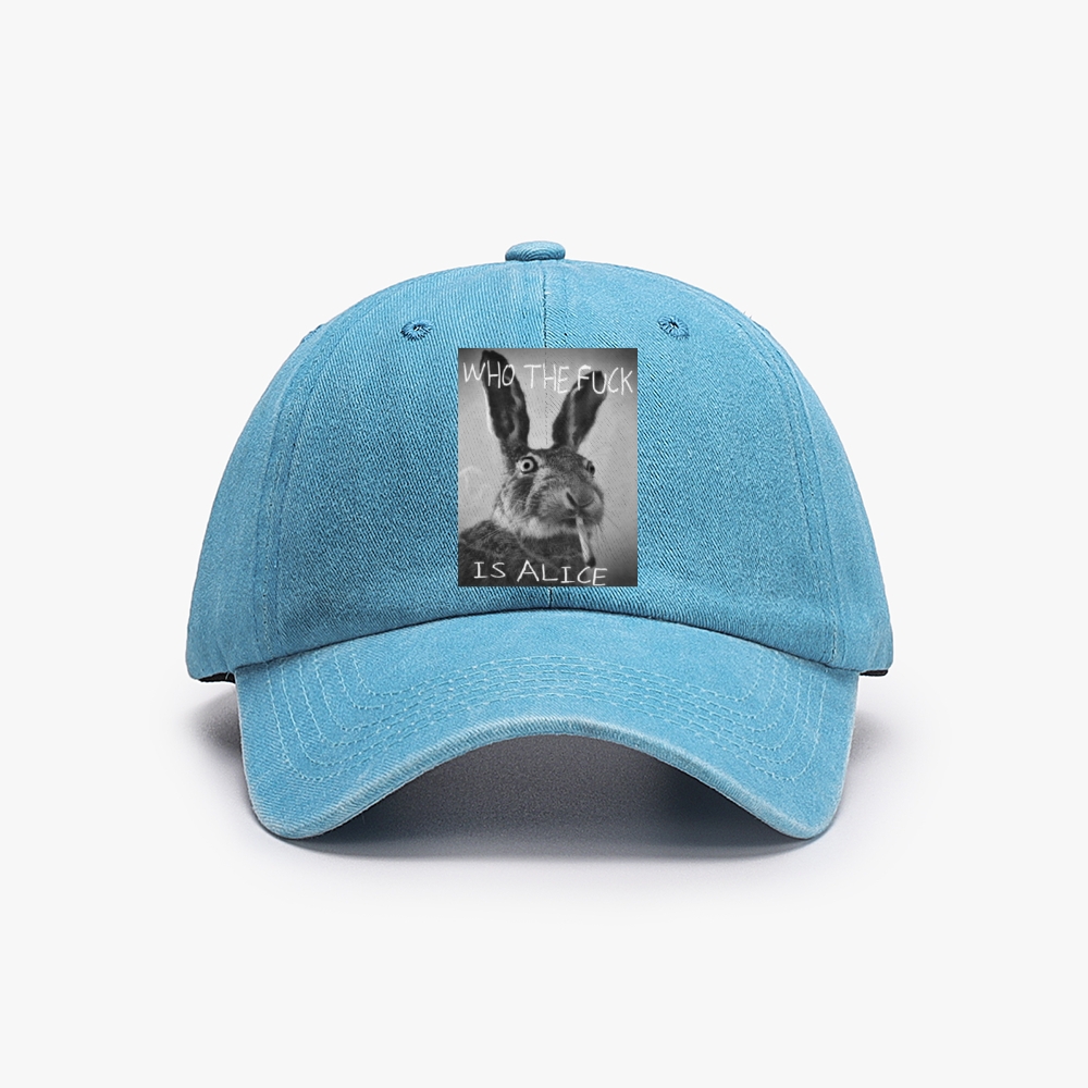 Who The Fuck Is Alice? Retro Washed Baseball Cap