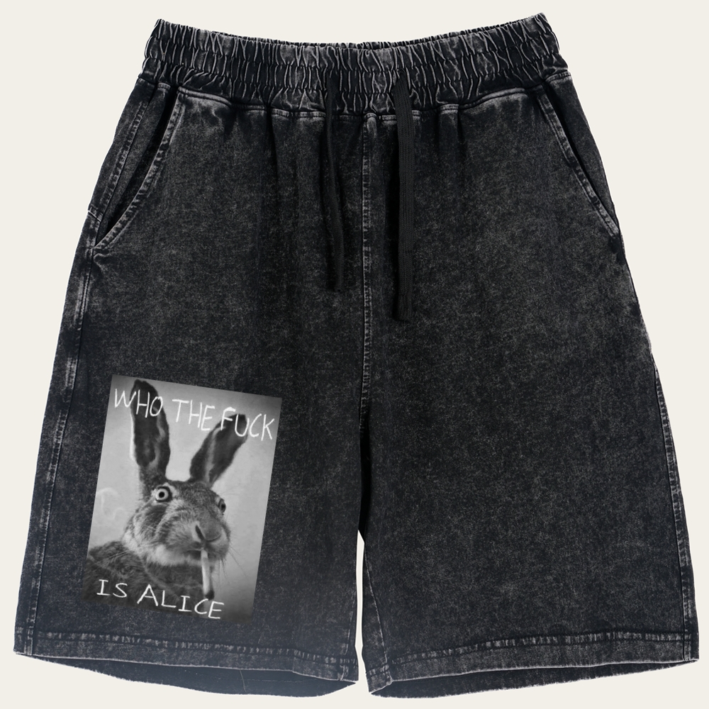 Who The Fuck Is Alice? Retro Washed Shorts