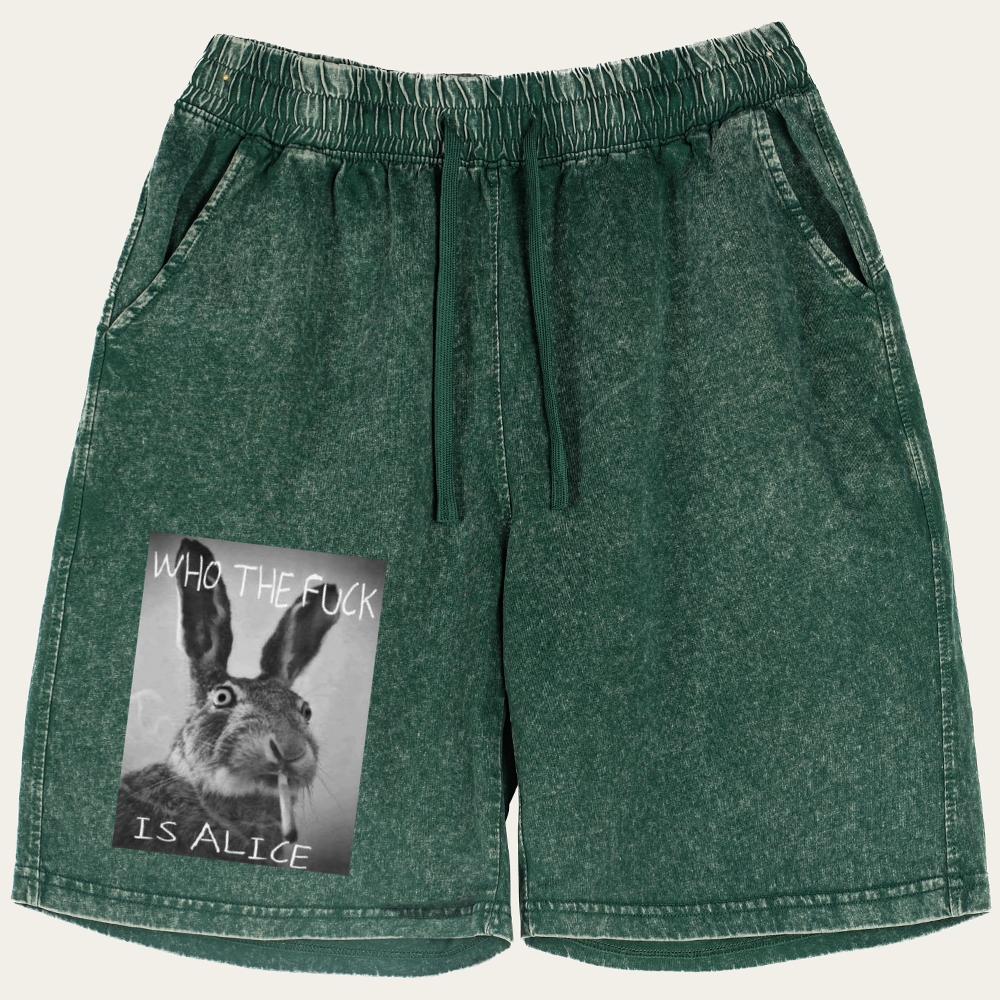 Who The Fuck Is Alice? Retro Washed Shorts