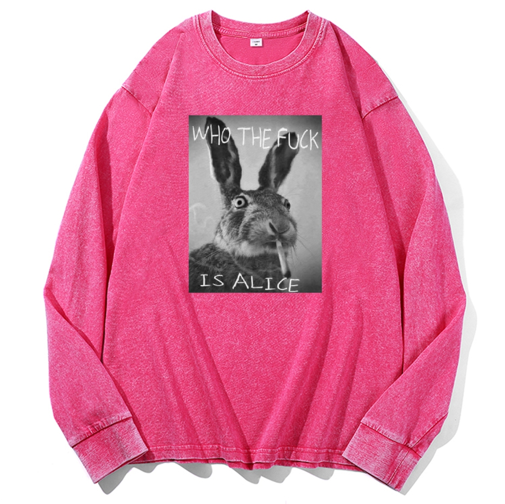 Who The Fuck Is Alice? Retro Washed Long Sleeve T-Shirt