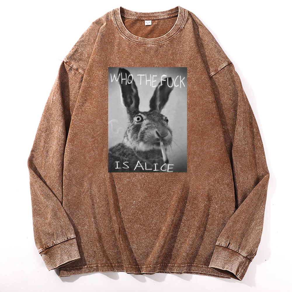 Who The Fuck Is Alice? Retro Washed Long Sleeve T-Shirt