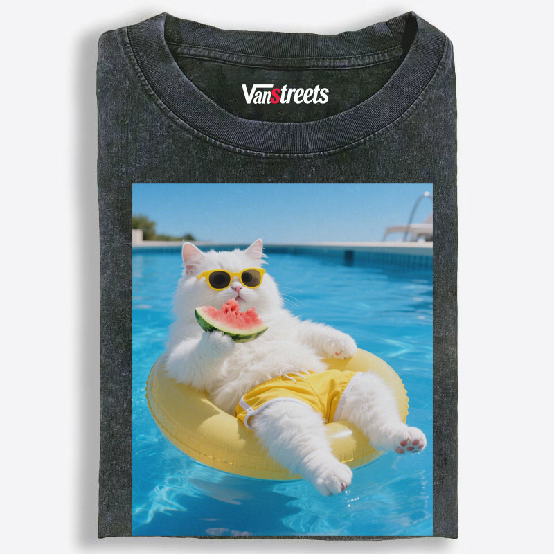 Chillin’ Like A Watermelon Cat Washed T-Shirt | 100% Cotton | Streetwear Essential