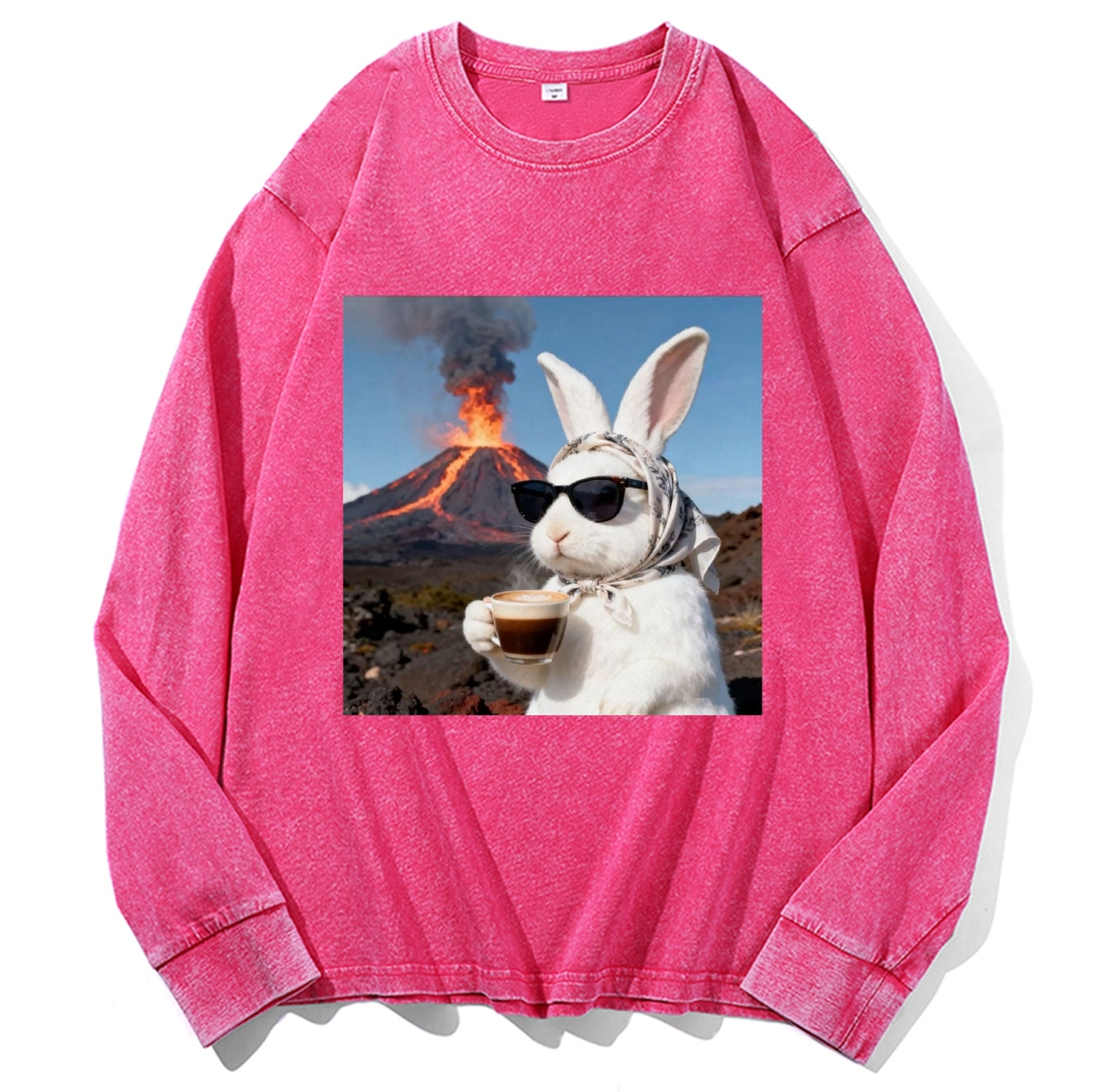 Volcano Coffee Bunny Retro Washed Long Sleeve T-Shirt