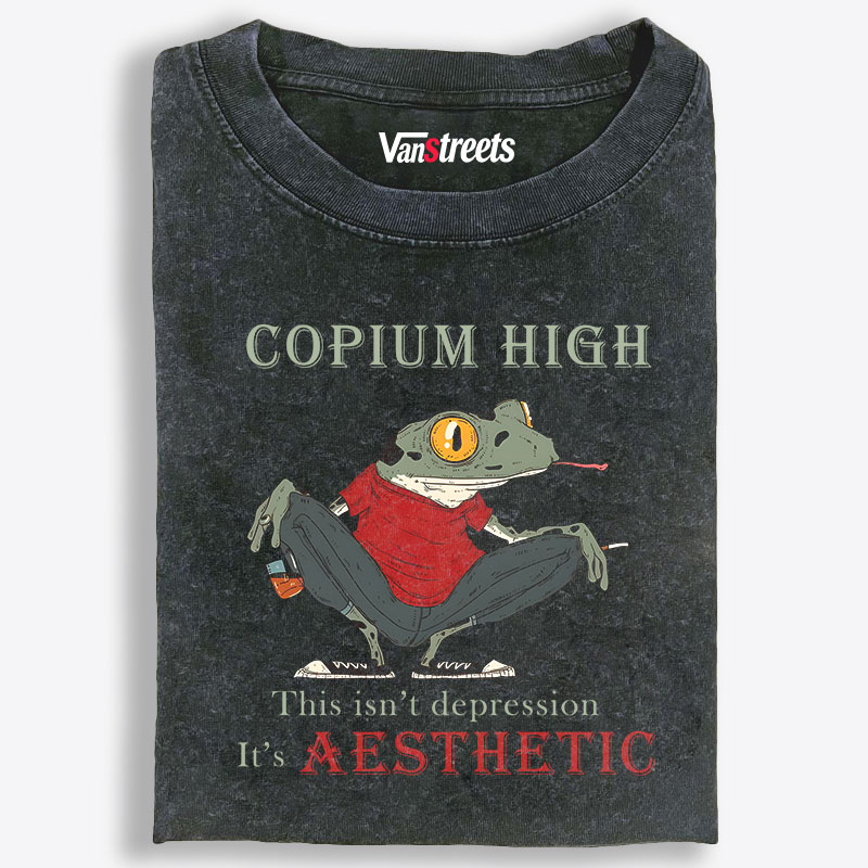 COPIUM HIGH Frog Aesthetic Retro Washed T-Shirt | 100% Cotton | Streetwear Essential