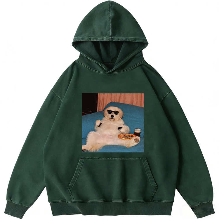 Chill Dog With Pizza Beer Remote Control Meme Retro Washed Hoodie