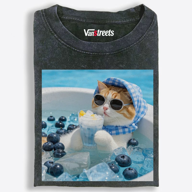 Blueberry Ice Cat's Vibe Washed T-Shirt | 100% Cotton | Streetwear Essential