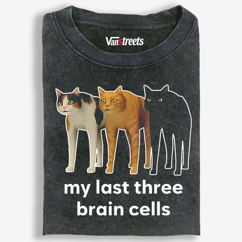 My Last Three Brain Cells Cat Meme Retro Washed T-Shirt | 100% Cotton | Streetwear Essential