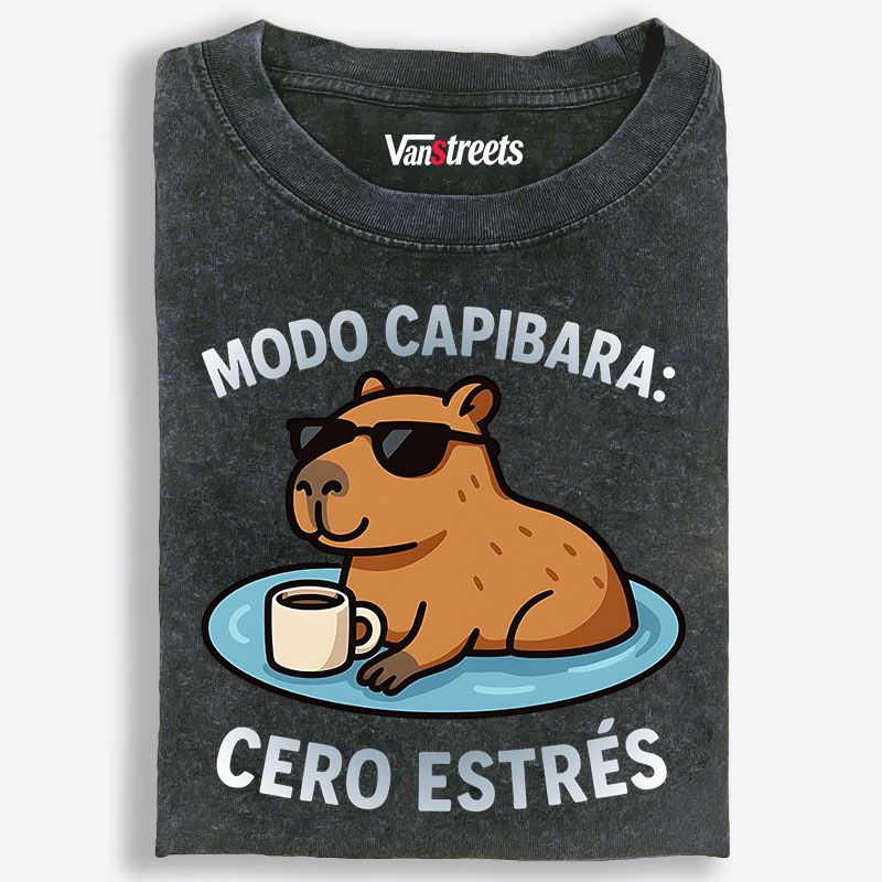 Retro Washed T-Shirt | 100% Cotton | Streetwear Essential