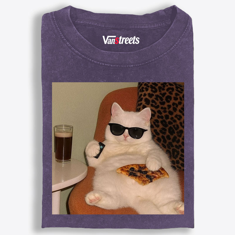 Lazy Cat Pizza & Beer Couch Potato Retro Washed T-Shirt | 100% Cotton | Streetwear Essential