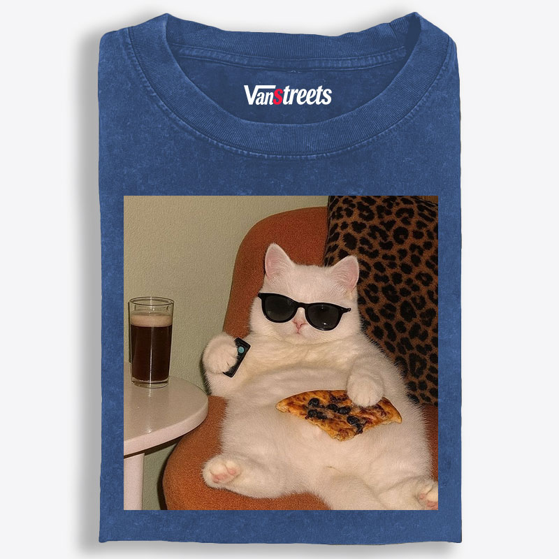 Lazy Cat Pizza & Beer Couch Potato Retro Washed T-Shirt | 100% Cotton | Streetwear Essential