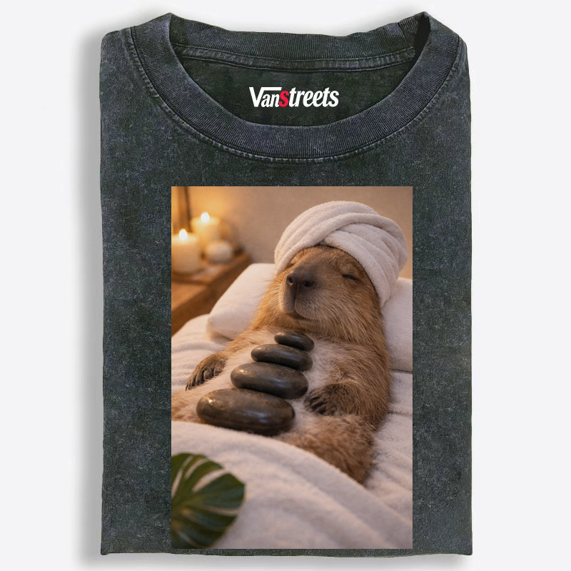 Zen Spa Capybara Washed T-Shirt | 100% Cotton | Streetwear Essential