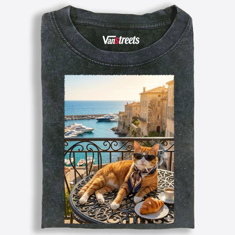 Stylish Orange Cat On A European Balcony Washed T-Shirt | 100% Cotton | Streetwear Essential