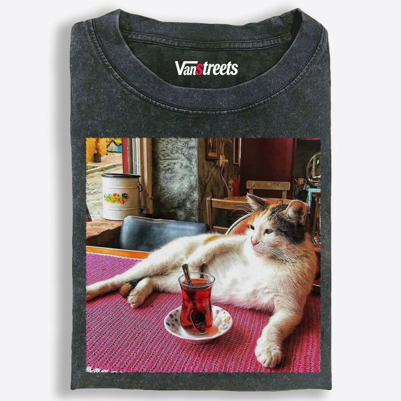Street Cat With Turkish Washed T-Shirt | 100% Cotton | Streetwear Essential