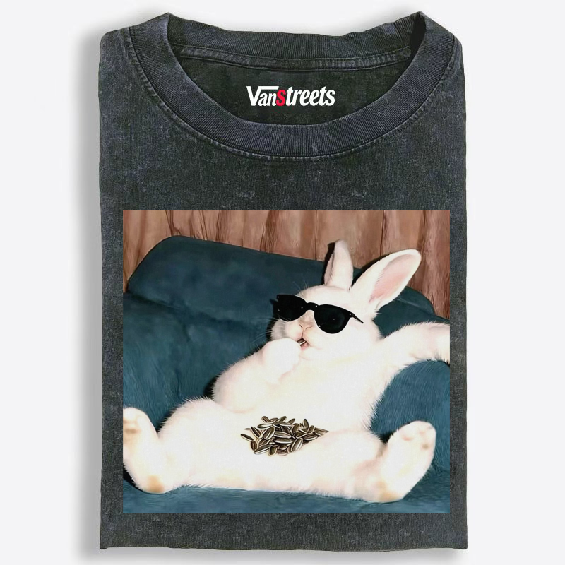 Rabbit Eating Sunflower Seeds On The Couch Washed T-Shirt | 100% Cotton | Streetwear Essential