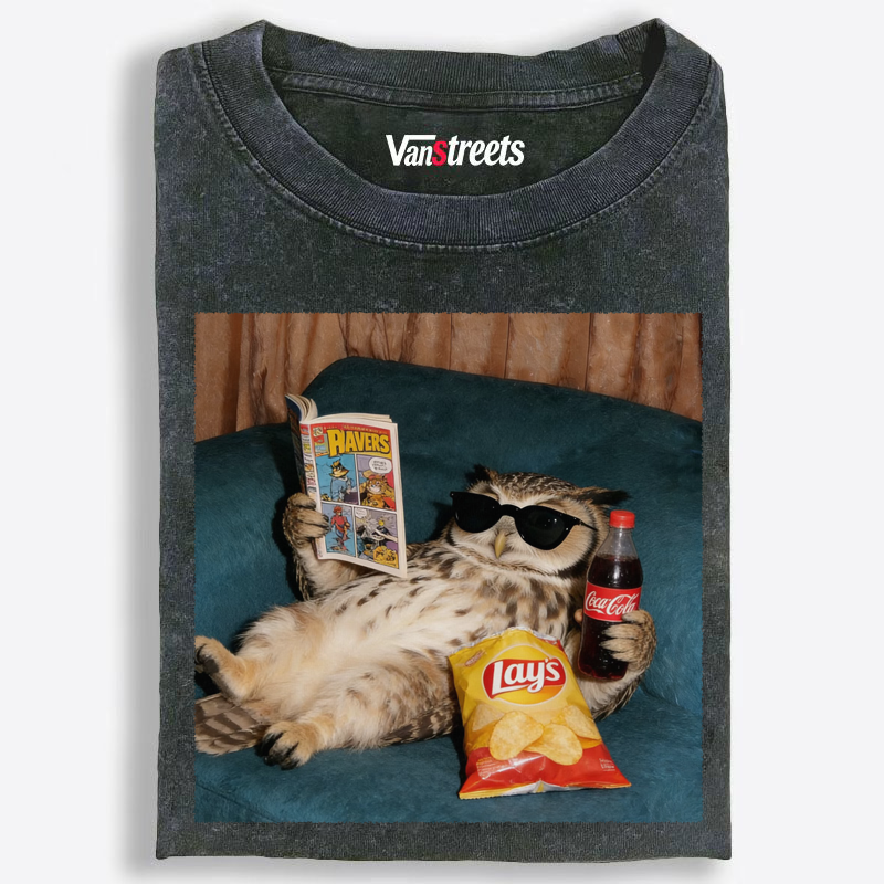 Chill Owl Comic & Chips Washed T-Shirt | 100% Cotton | Streetwear Essential