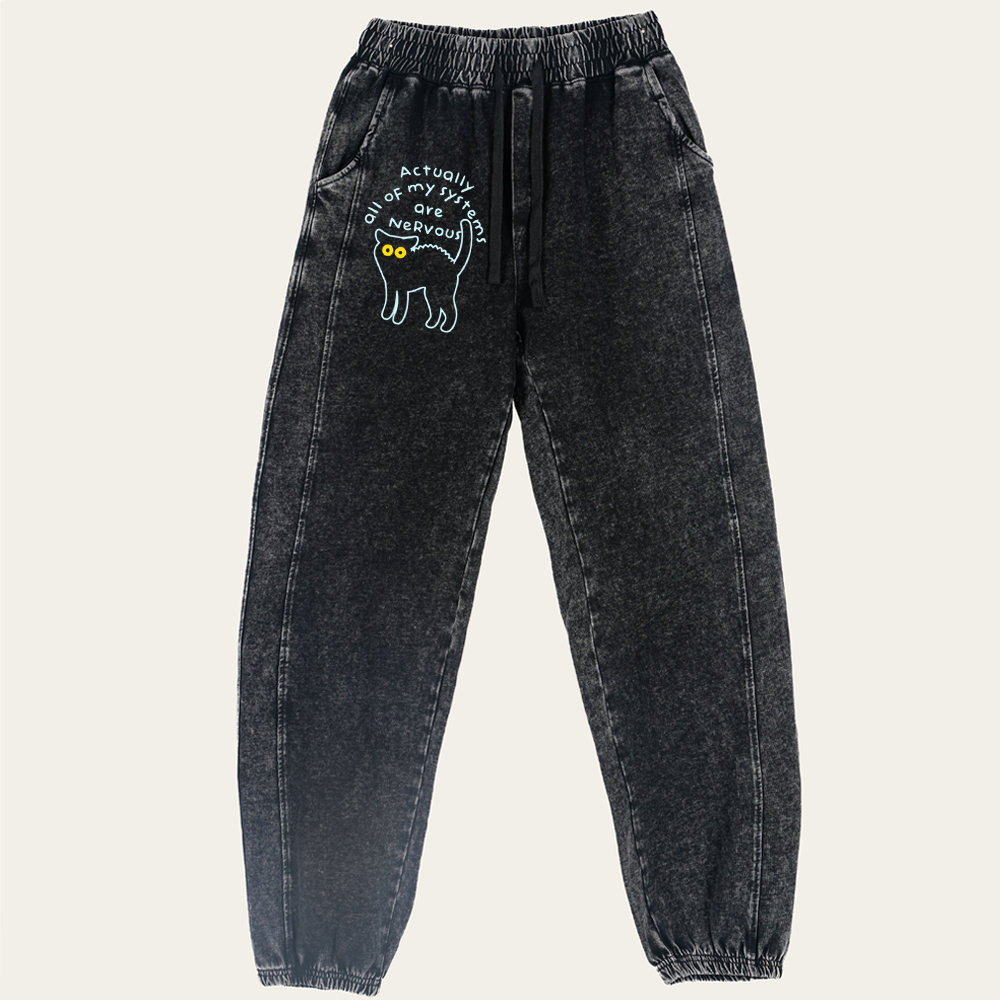 All of My Systems Are Nervous Retro Washed Pants